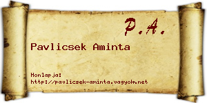 Pavlicsek Aminta névjegykártya